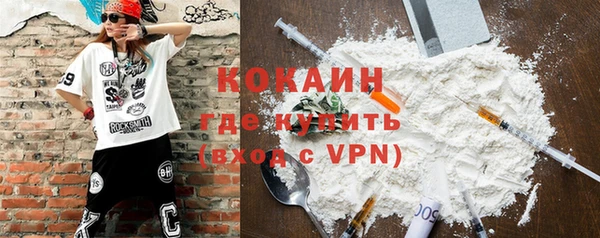 молекула духа Мегион