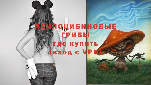 гашиш Ельня