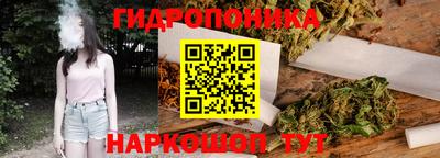 ГАЛЛЮЦИНОГЕННЫЕ ГРИБЫ Гусев