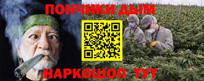 Альфа ПВП Гусиноозёрск