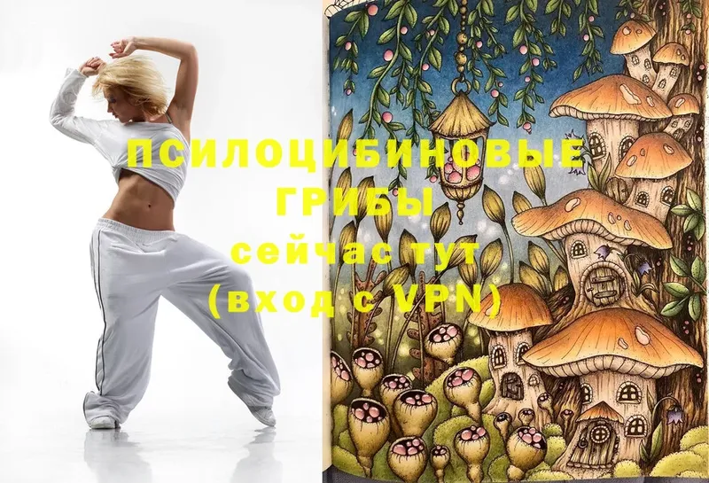 Псилоцибиновые грибы Magic Shrooms  Ирбит 