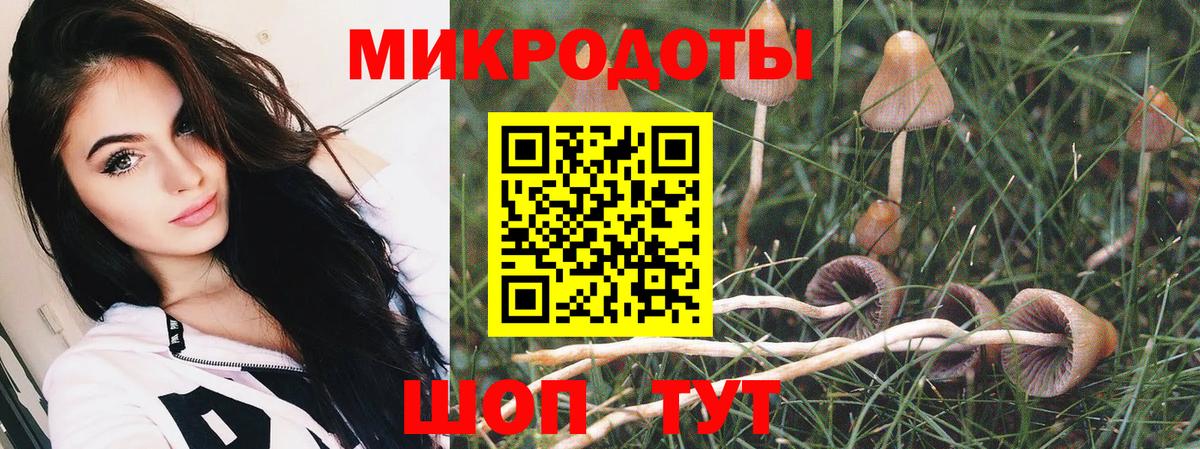 Ирбит  Галлюциногенные грибы Cubensis  Вход с VPN 